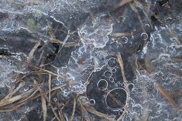 화천 산천어 축제