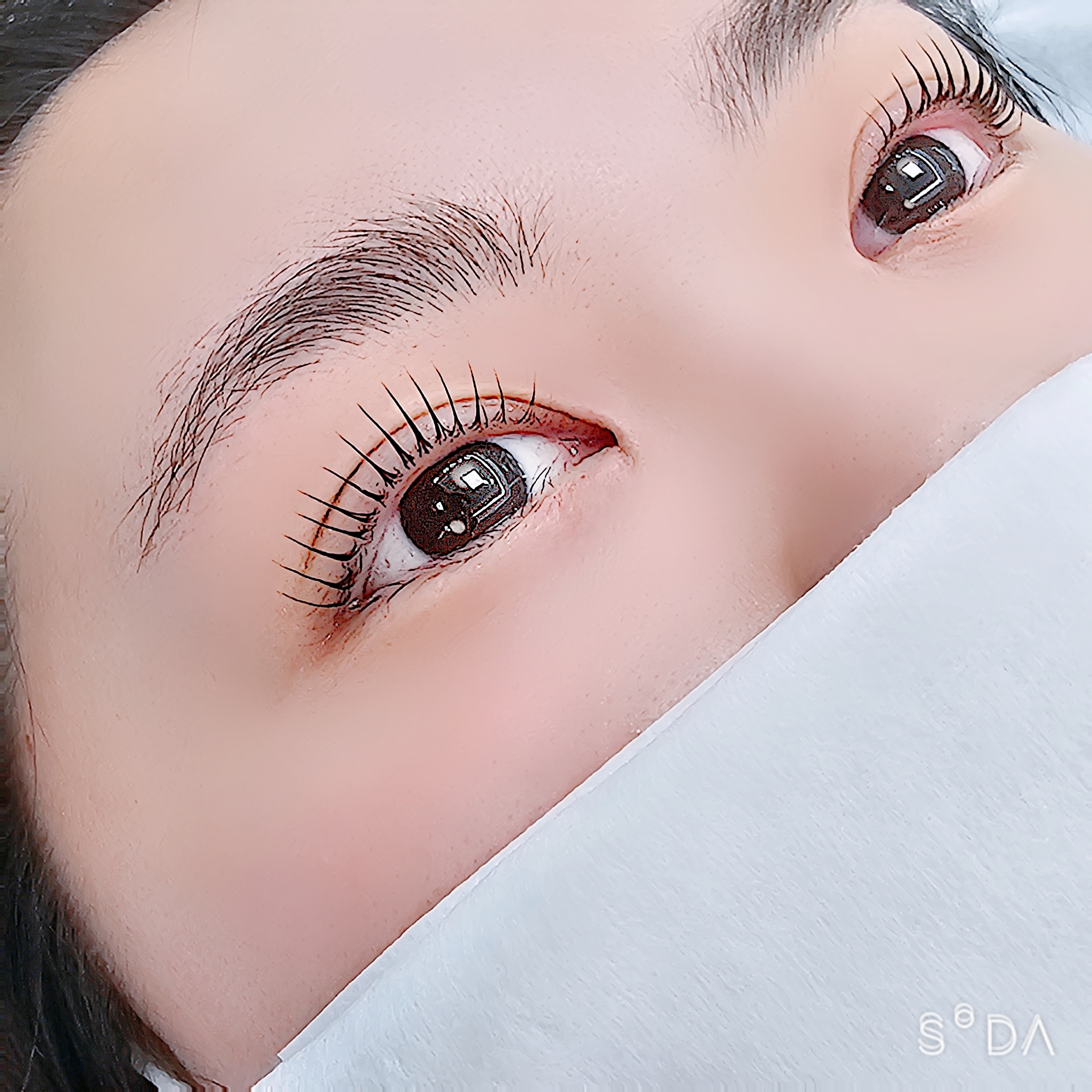 센스