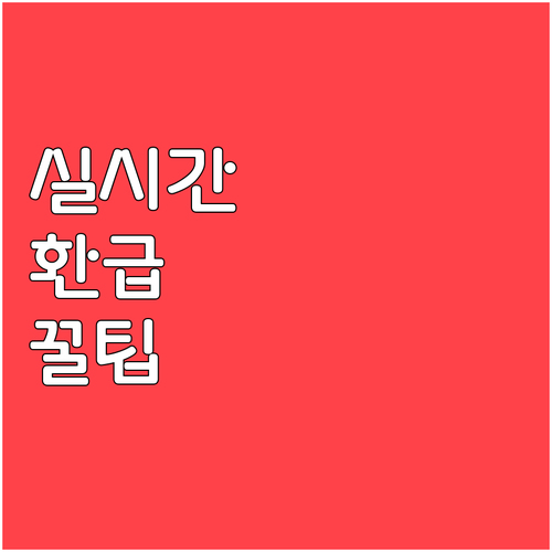 연말정산 건강보험료 실시간 부과 제도..