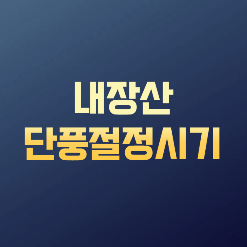 내장산 단풍절정시기