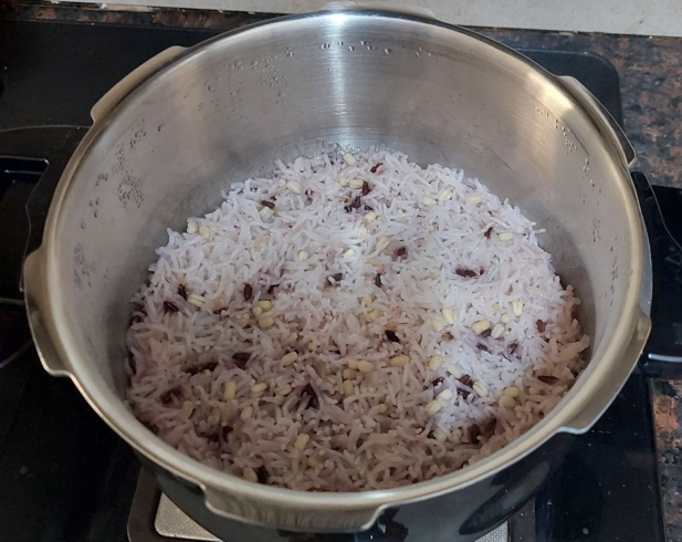 가스 압력 밥솥으로 밥 짓기 : 초보도 실패 없는 레시피