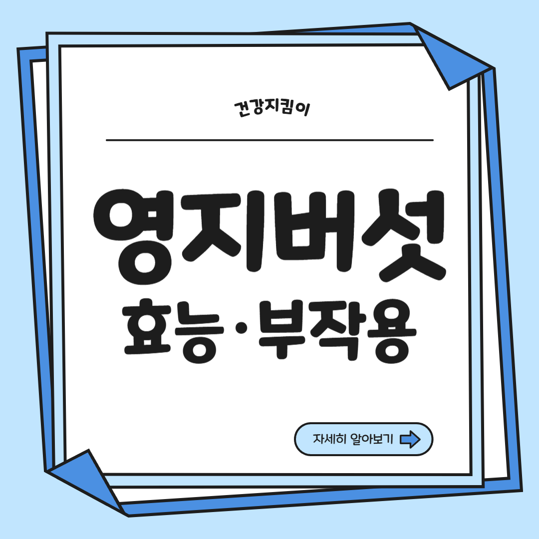 영지버섯 효능 부작용 먹는 방법