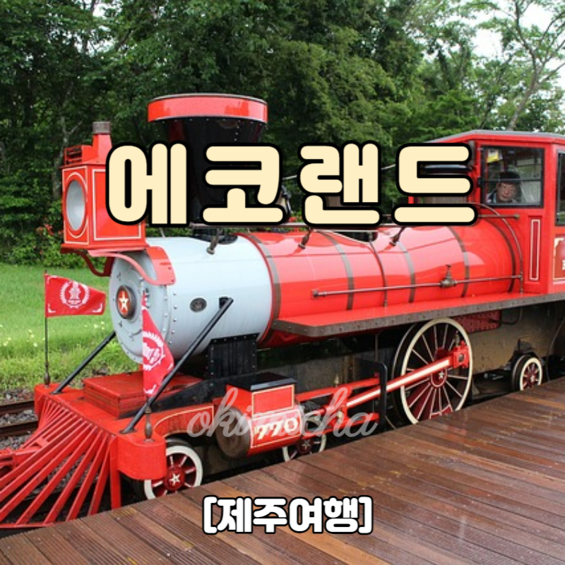 제주여행_에코랜드