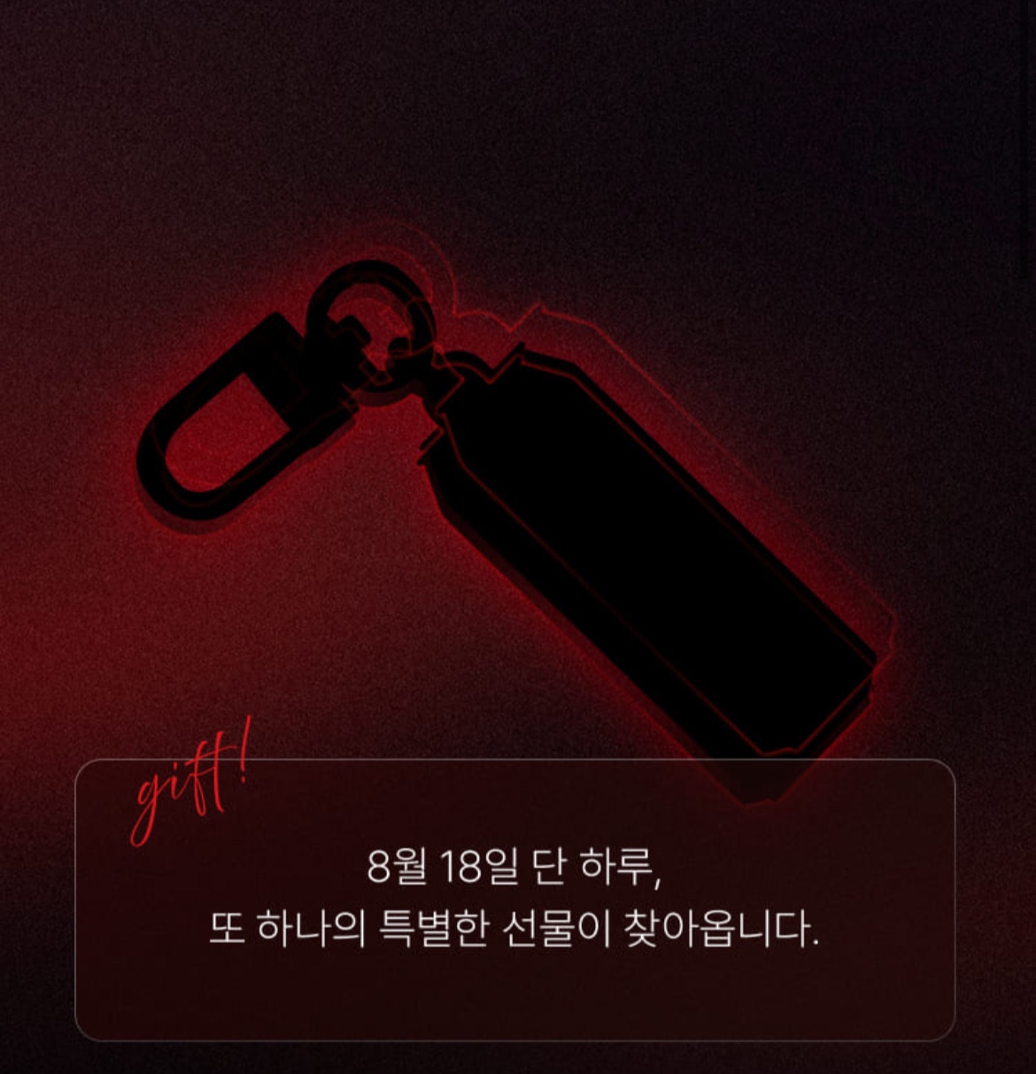 지드래곤 8월 18일 생일 기념 키링 한정판