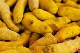 스트레스성위염증상