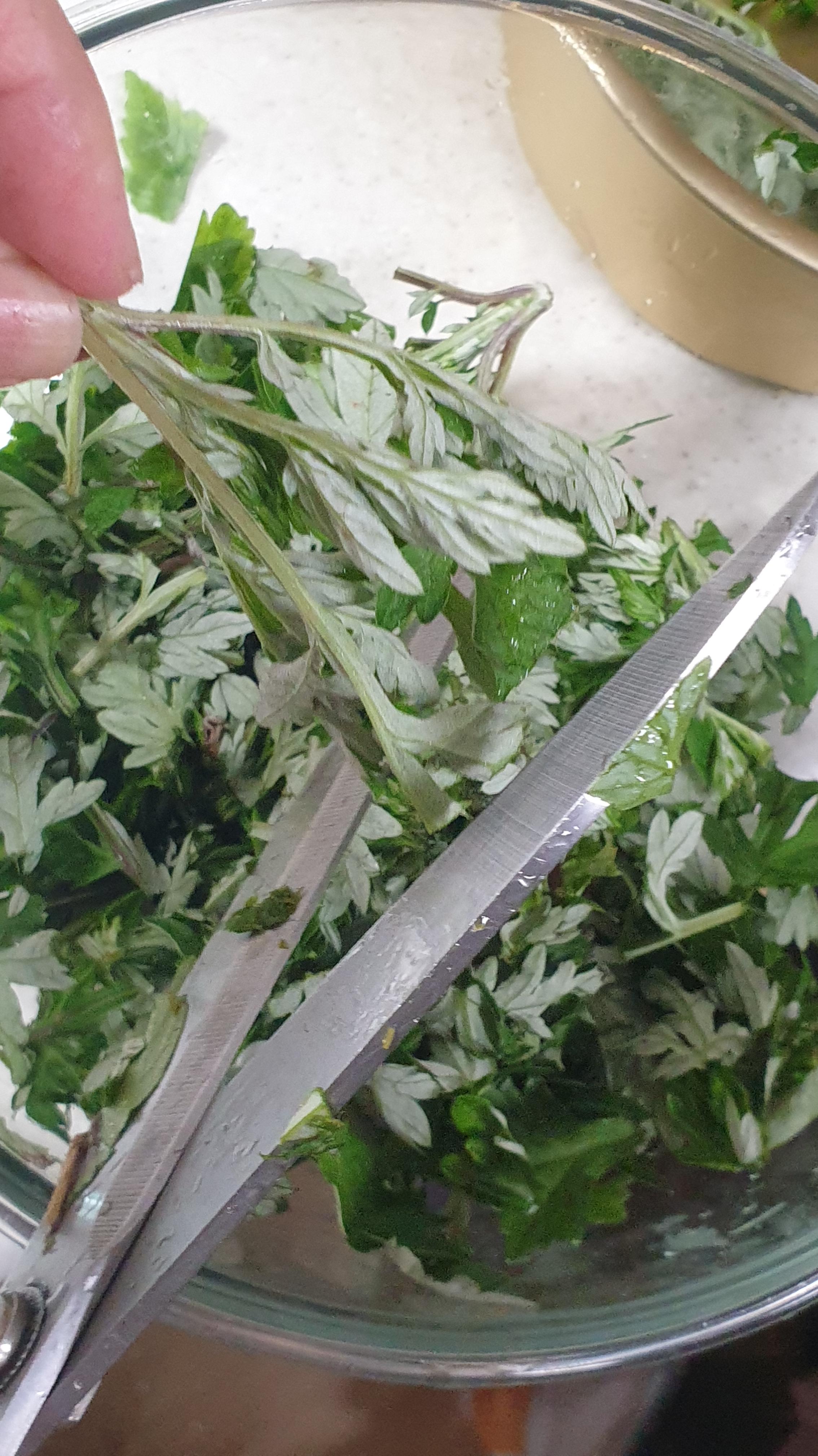 쑥 손질하는 방법 관련 이미지