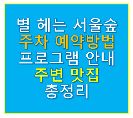 별 헤는 서울숲