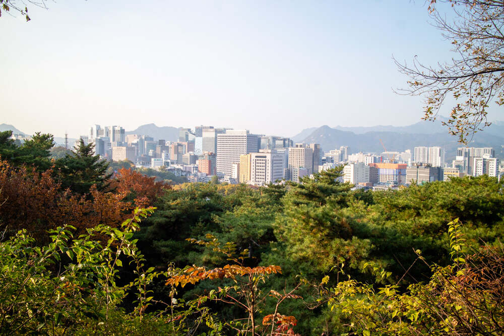 남산둘레길 10월 28일 상황 단풍