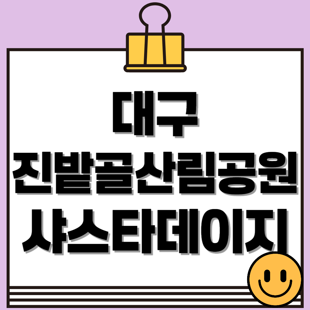 대구 진밭골산림공원 샤스타데이지 개화 시기 및 위치, 주차 정보 총정리