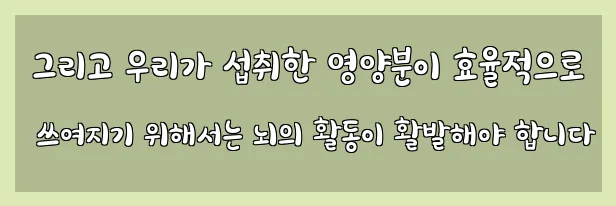  그리고 우리가 섭취한 영양분이 효율적으로 쓰여지기 위해서는 뇌의 활동이 활발해야 합니다