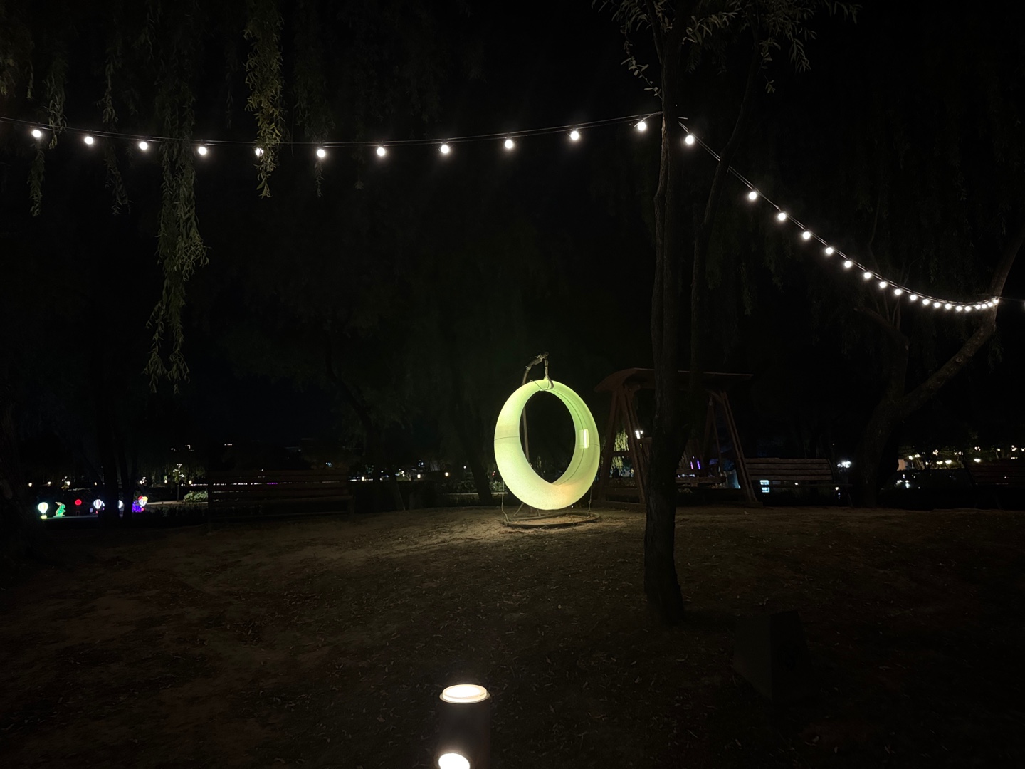 궁남지 연꽃 야경