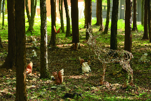 국립남해편백자연휴양림