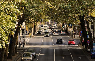 중고차 이미지6