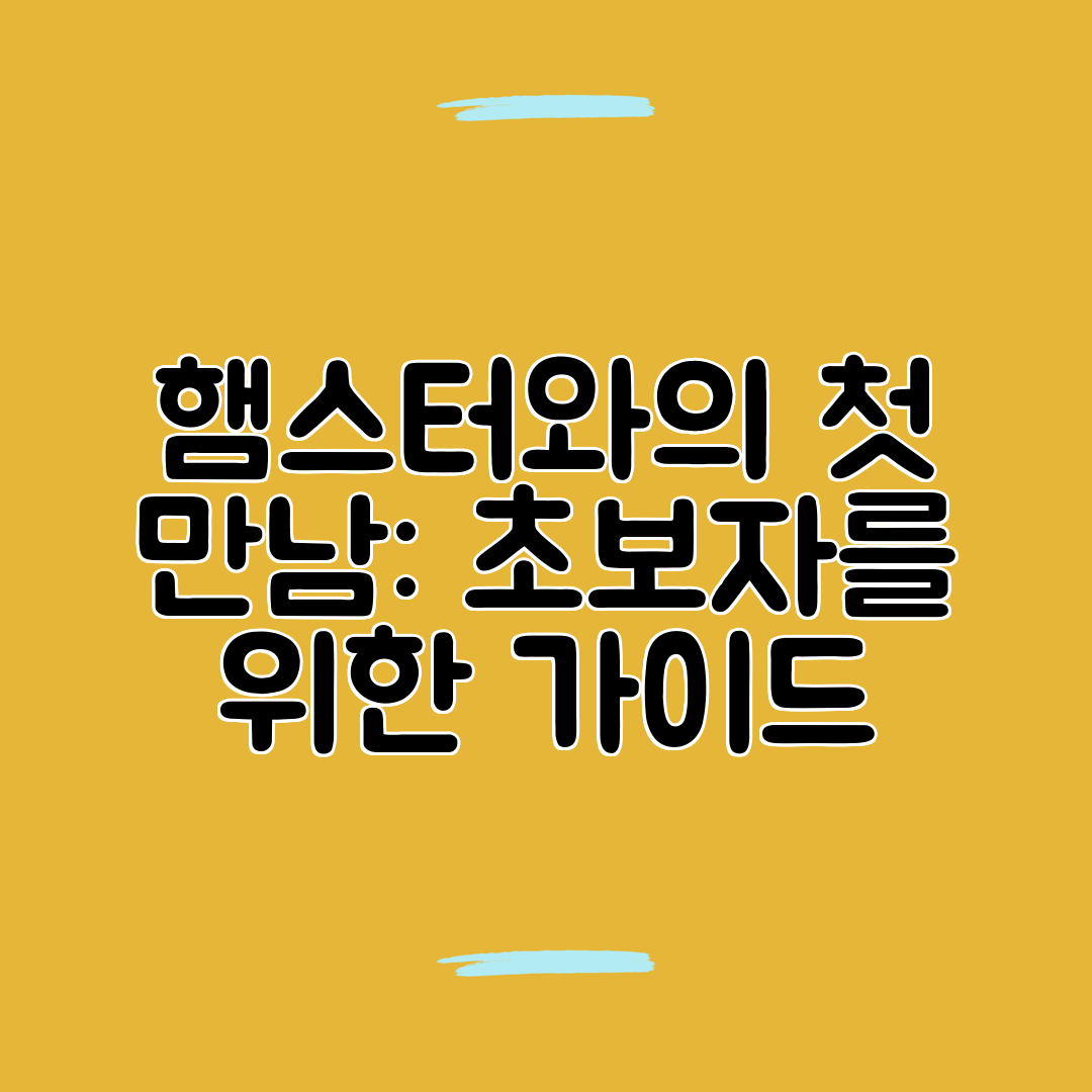 햄스터와의 첫 만남 초보자를 위한 가이드