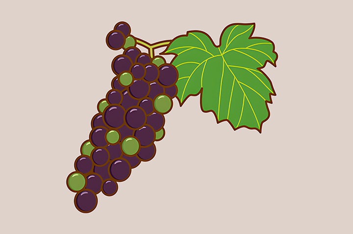 머루-하루-섭취-권장량