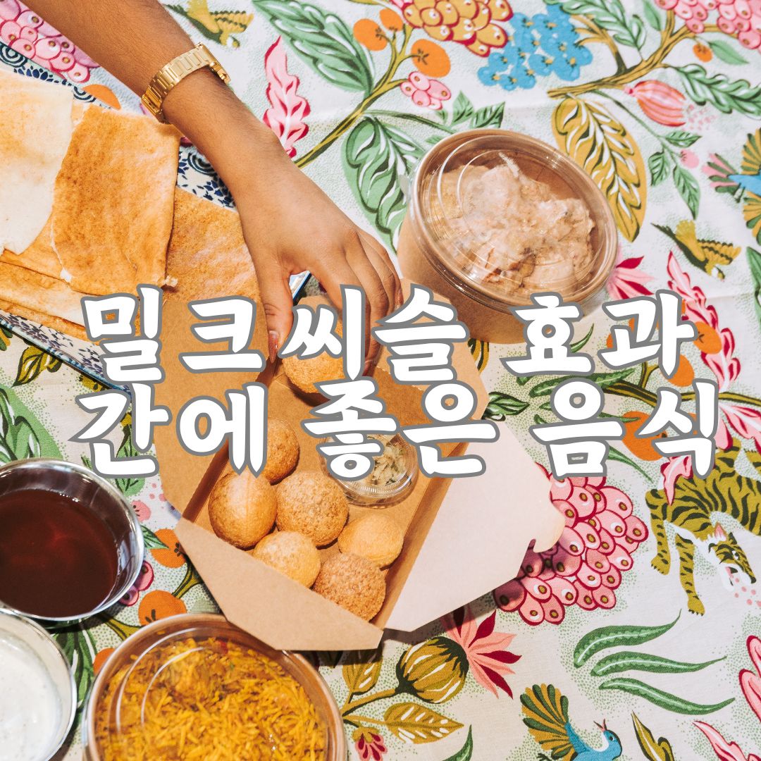 밀크씨슬 간수치