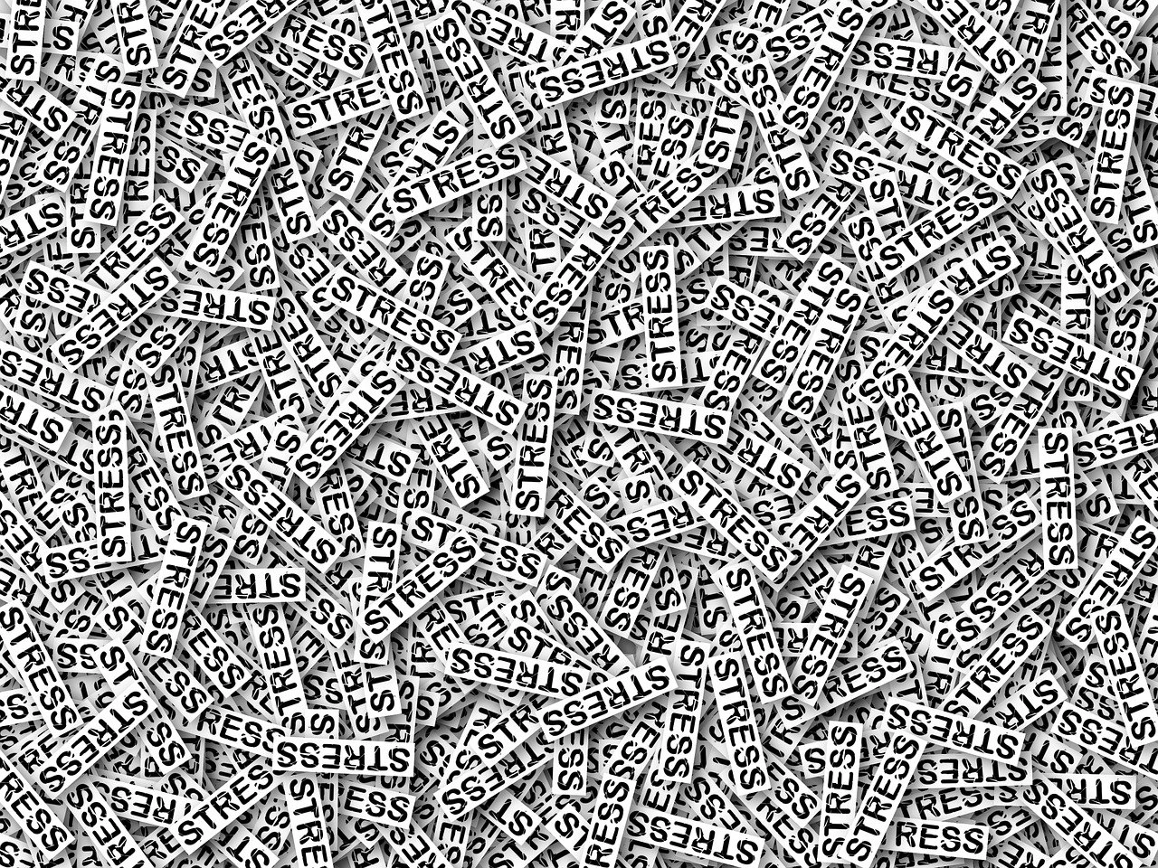 스트레스
