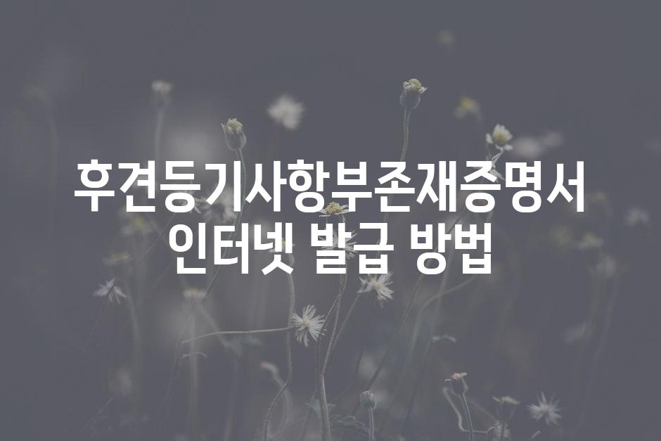 샘플 (46)