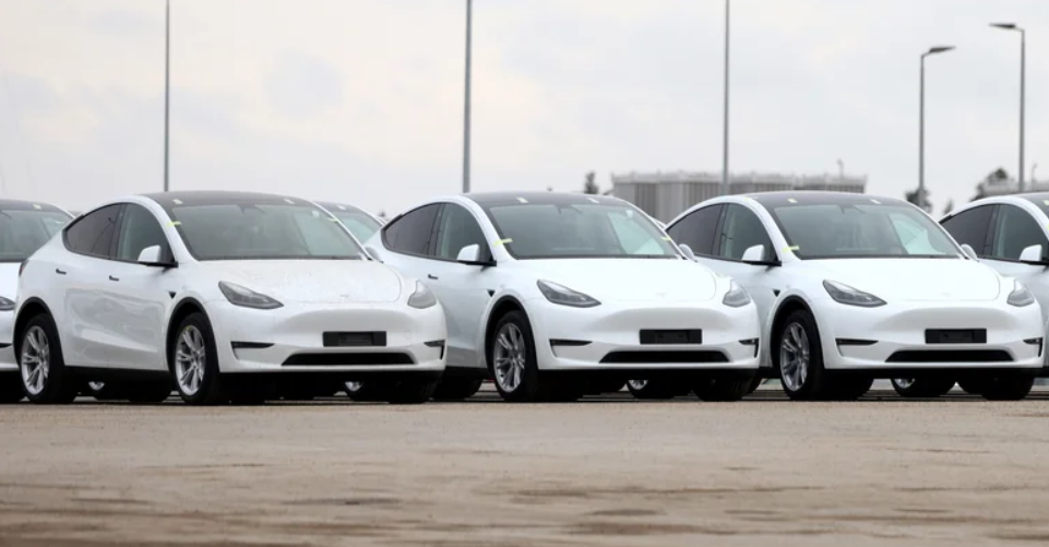 테슬라 모델Y들의 사진