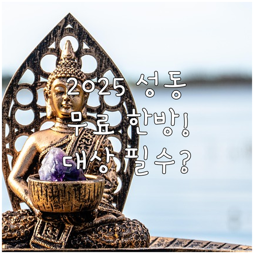 2025 성동구 한방진료 지원 대상 ..