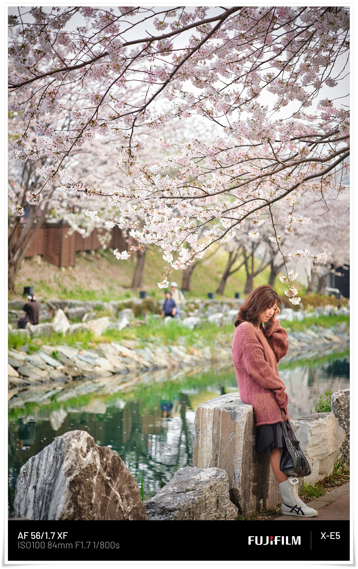 부산 영도 동삼해수천 벚꽃길