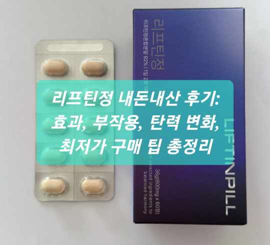 리프틴정