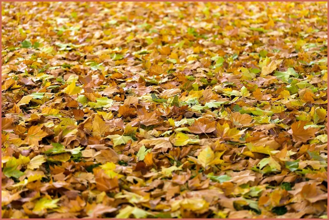 정기예금 금리 가장 높은곳