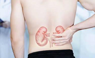 소변 알부민/크레아티닌 비율 (ACR)