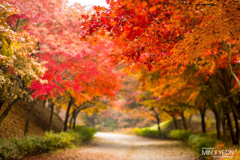 가을 단풍여행 꼭 가볼한 곳 베스트 5 여기는 꼭 가보세요!
