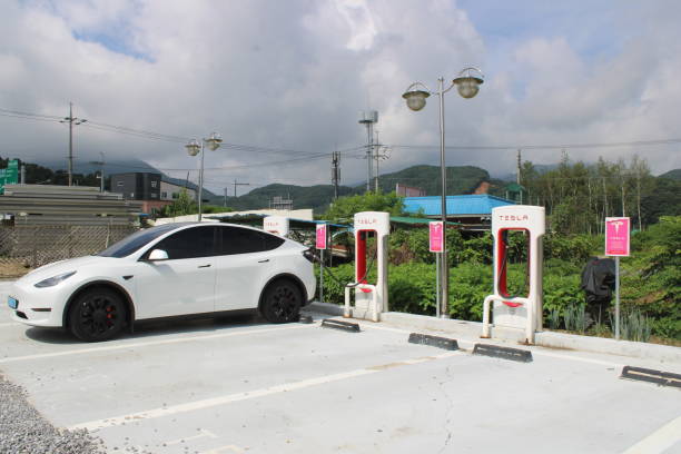 2025 전기차 보조금 개요