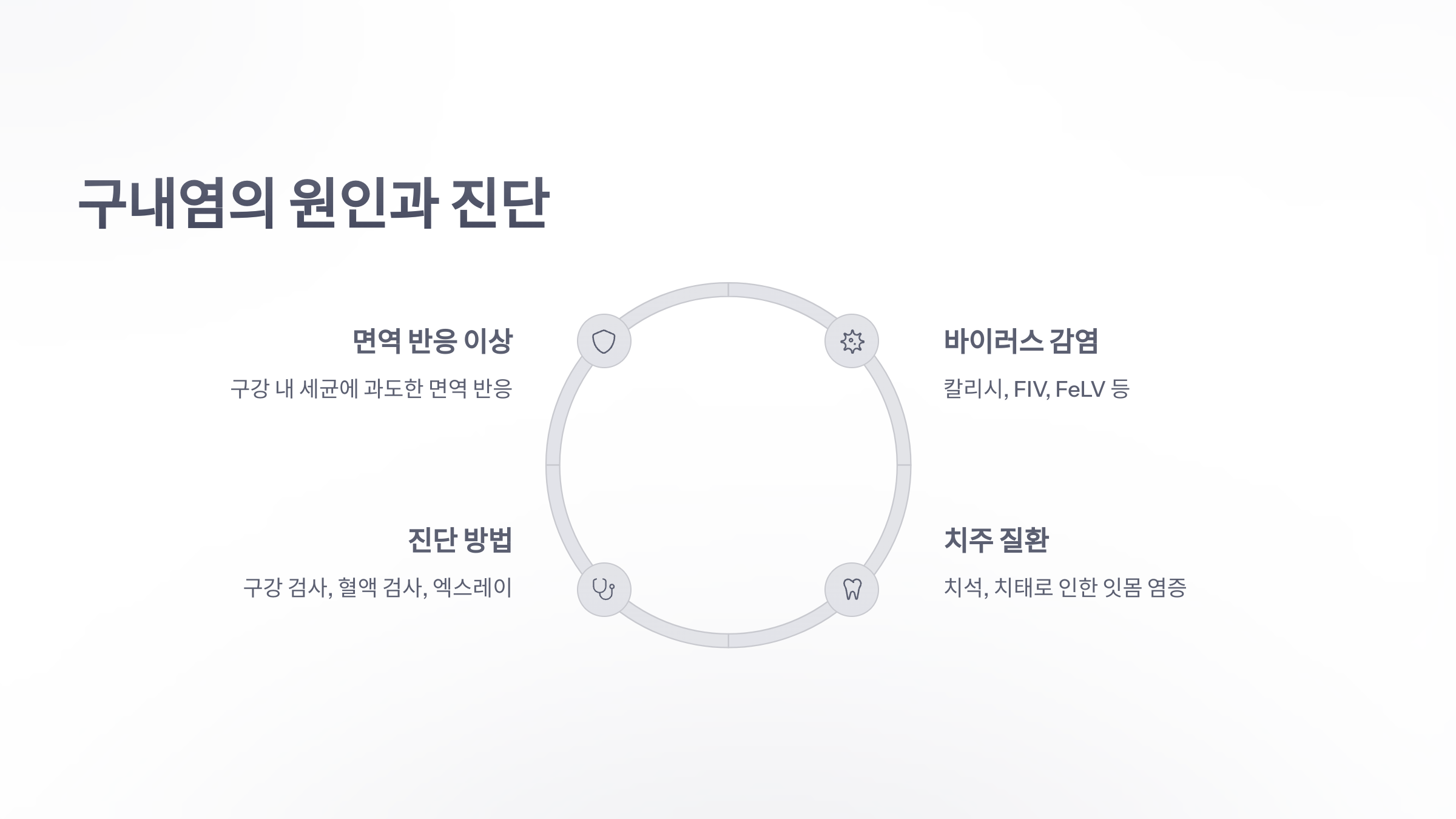 참조-고양이-구내염-3