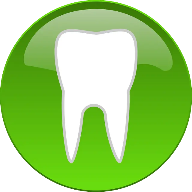 시린 이를 위한 치약 추천과 효과적인 관리 방법