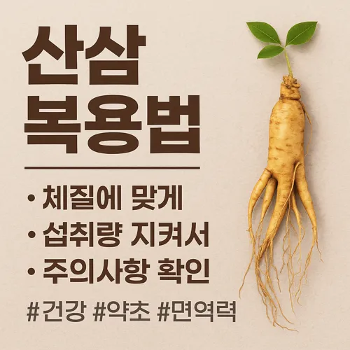 산삼 복용법 요약 안내 이미지