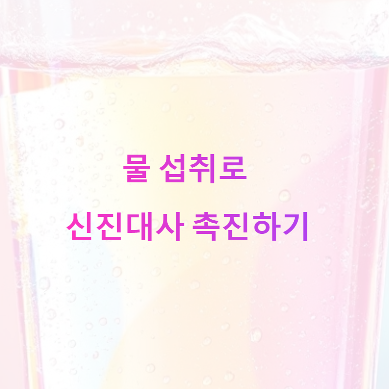 심플한 물 섭취로 신진대사 촉진하는 법