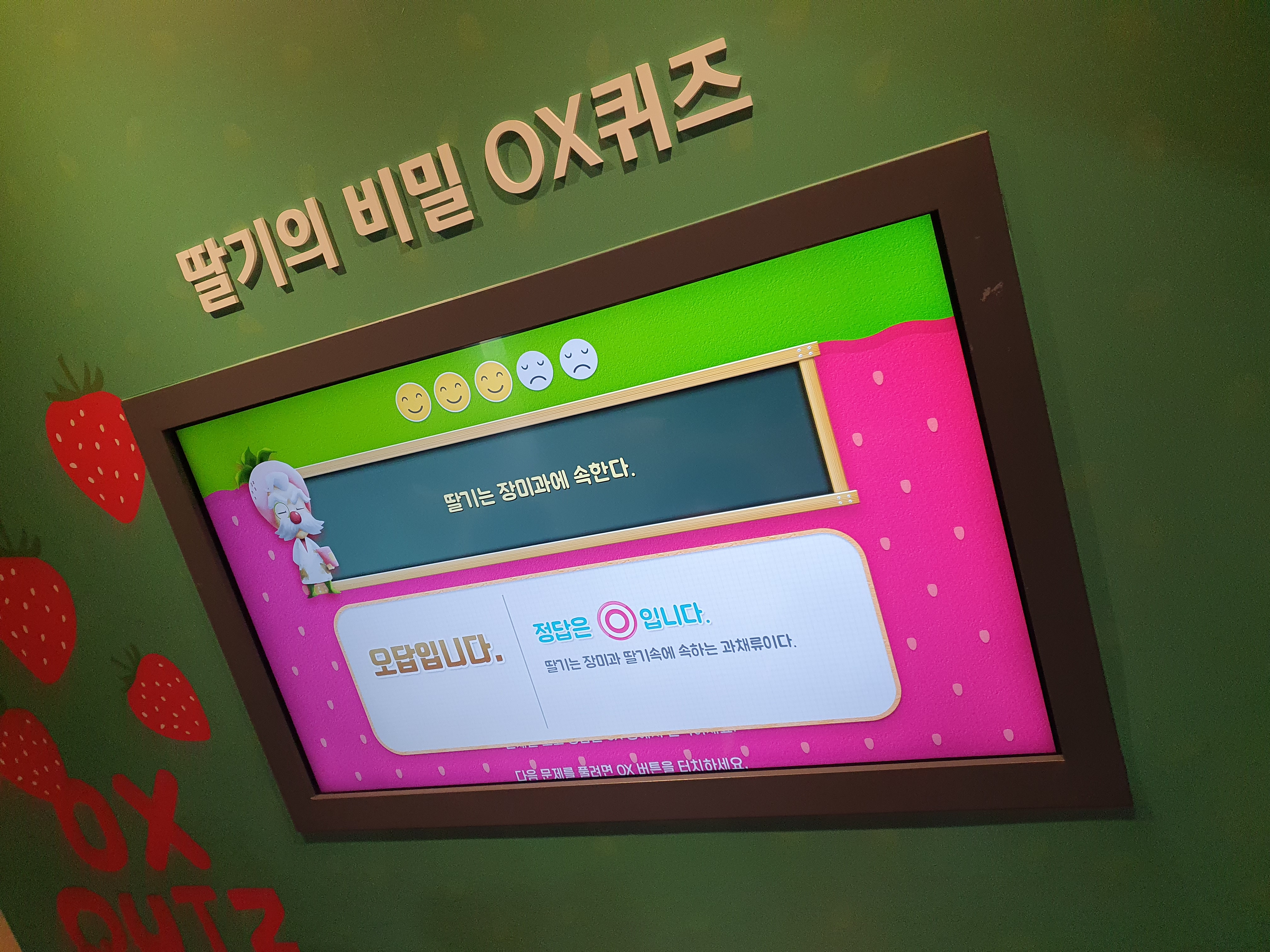 논산 딸기테마관 딸기의 비밀 ox 퀴즈