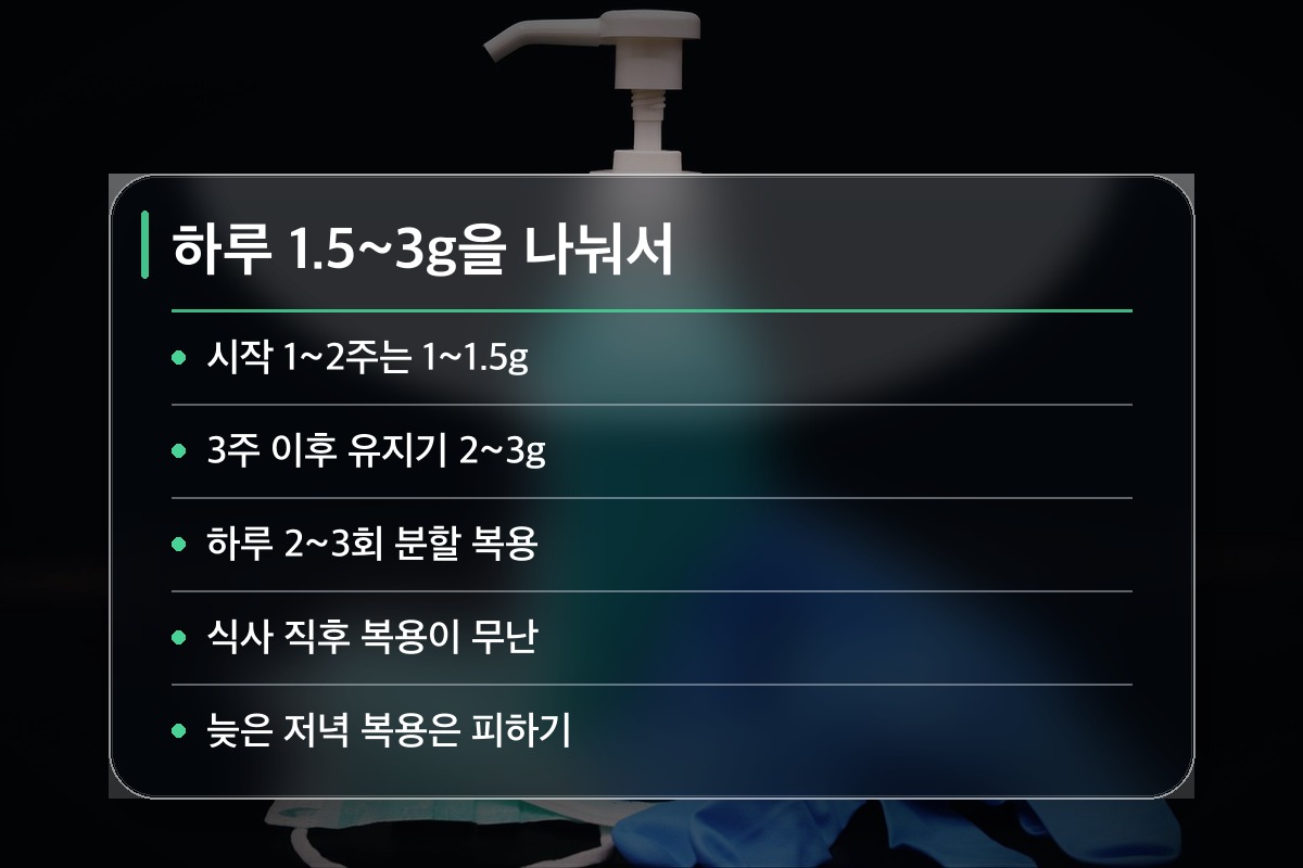 MSM 효능 하루 얼마나, 언제 먹어야 할까요?