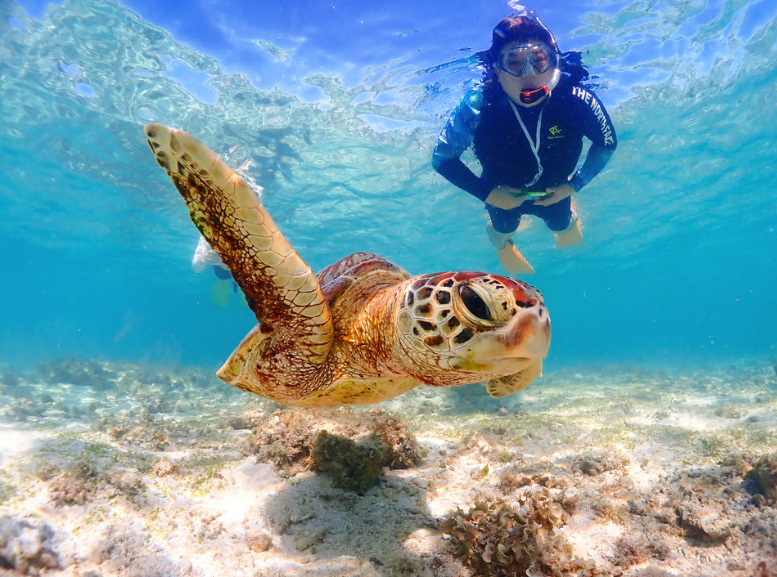 미야코지마 여행 12