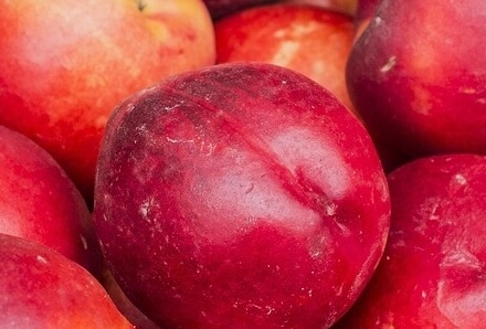 천도복숭아효능