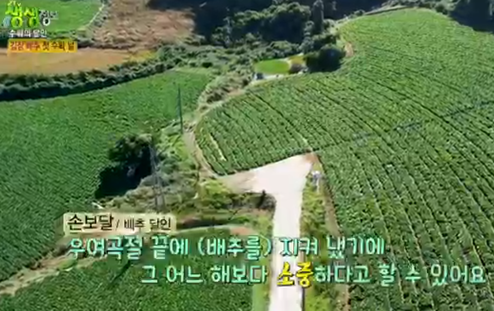 솔바위농장
