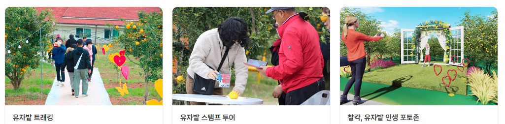 고흥 유자축제