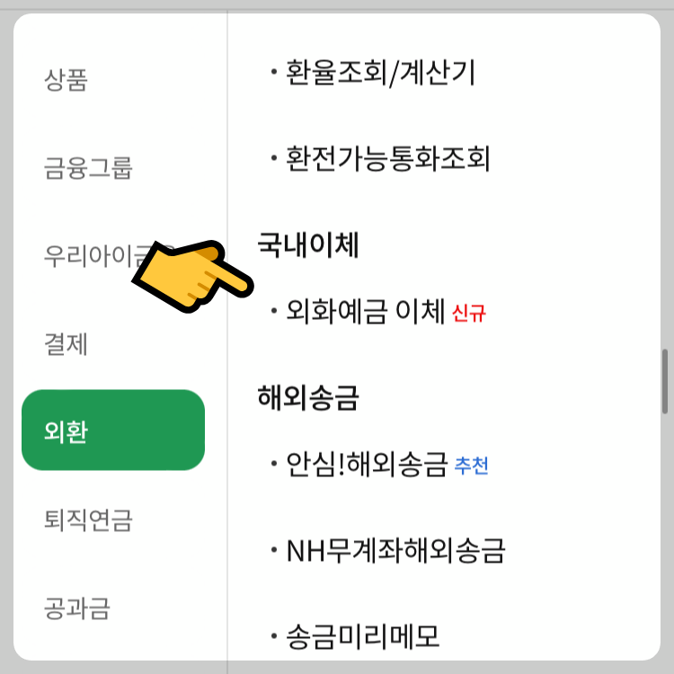 농협 외화계좌에서 환전 없이 증권계좌로 이체 방법4