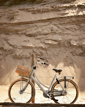 자전거 여행의 즐거움과 특별한 체험