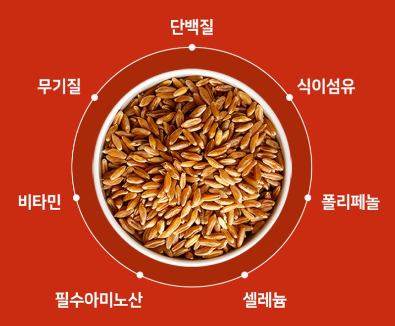 카무트 효소 성분 사진