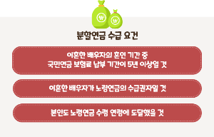 이혼 후 노령연금 균등 분할