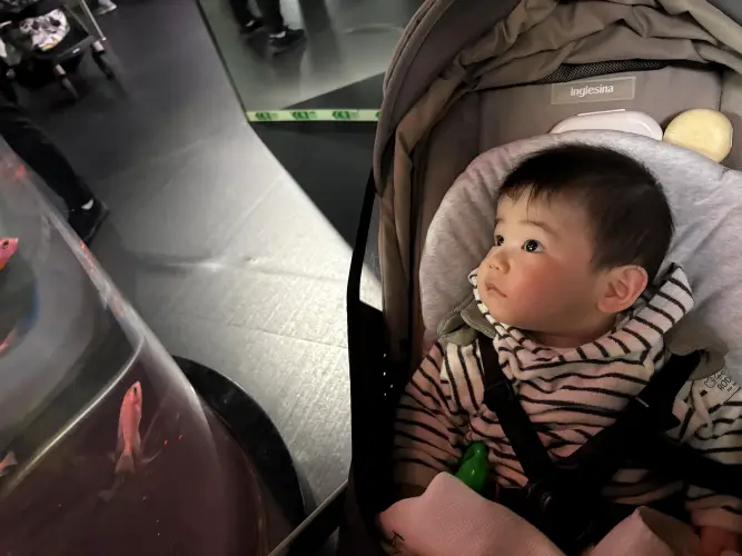 산책중인 아이
