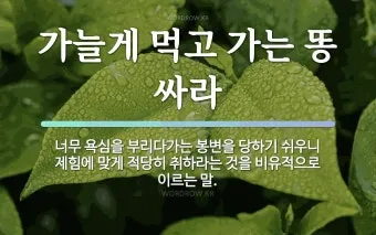 가는 똥 이유와 똥이 가늘게 나오는 이유 분석_6