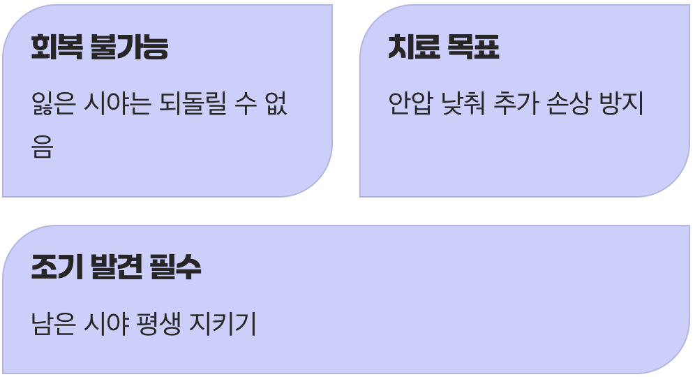 한번 잃은 시야는 돌아오지 않아요