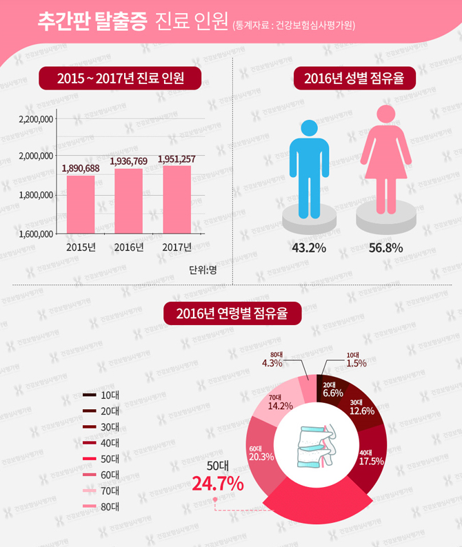 허리디스크 진료 인원