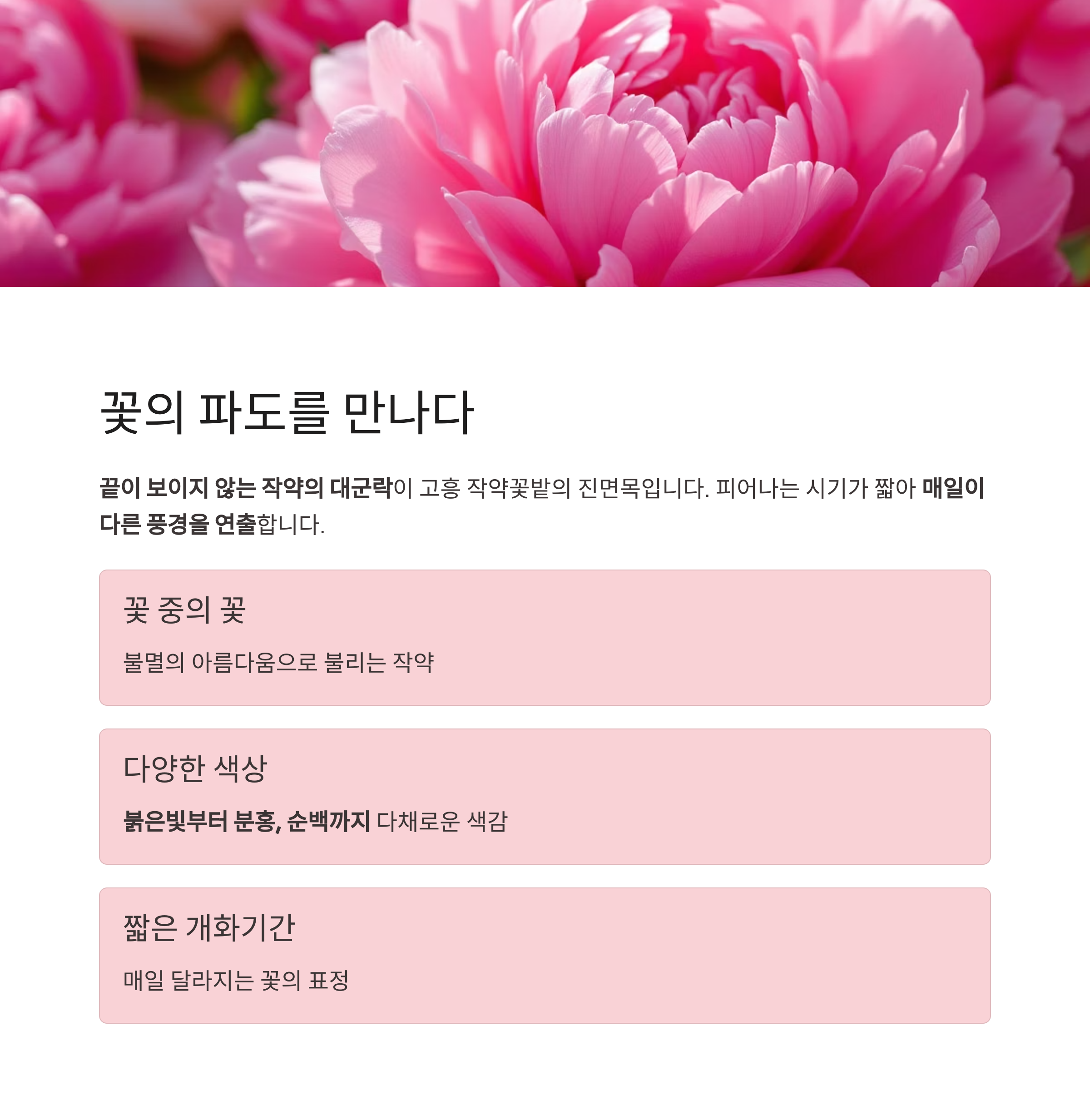 고흥 작약꽃밭, 남도 끝자락에서 피어난 봄의 절정