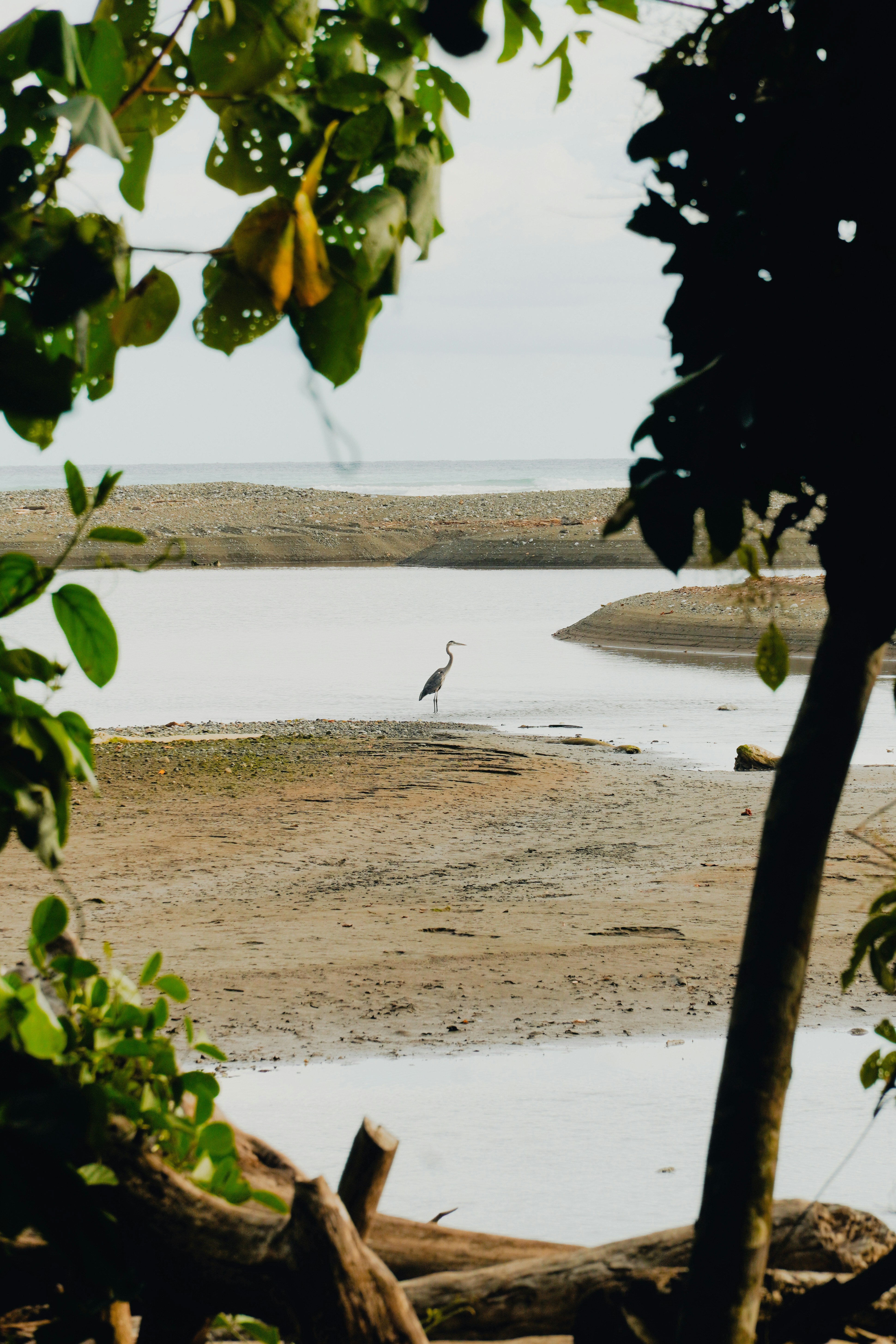 키움증권 해외주식 거래방법